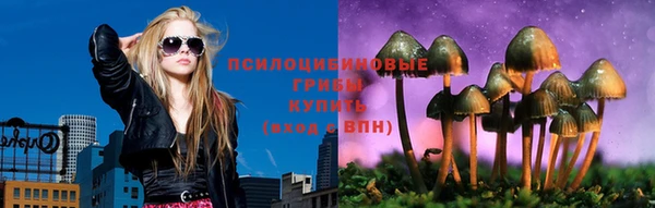 тгк Арсеньев