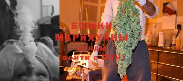 тгк Арсеньев