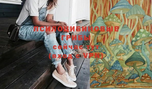 тгк Арсеньев