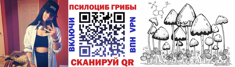 Галлюциногенные грибы Psilocybe  Волгоград 